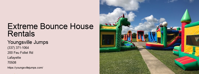 Inflatable Castles